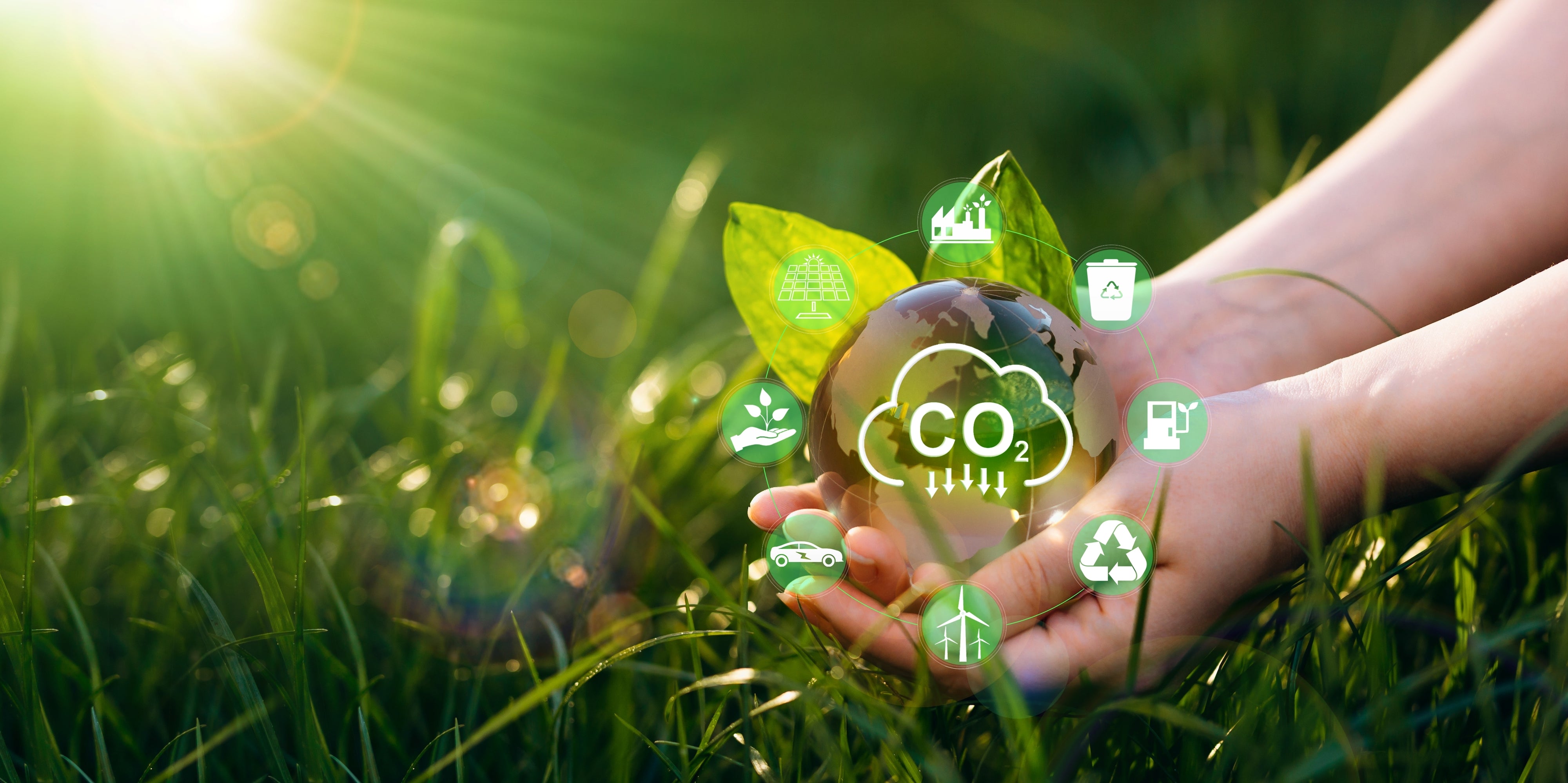 Eco-Conscious Hydration: The Carbon Footprint of Bottled Water – Drinklits